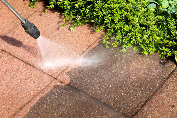 Best Fence Pressure Washing  in Miami Shores, FL